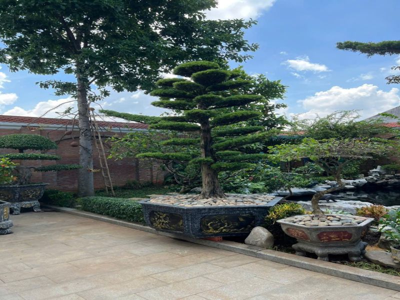 Bán Biệt Thự 3 Tầng Cao Cấp 40 Tỷ Phường Bình Thạnh TP.HCM